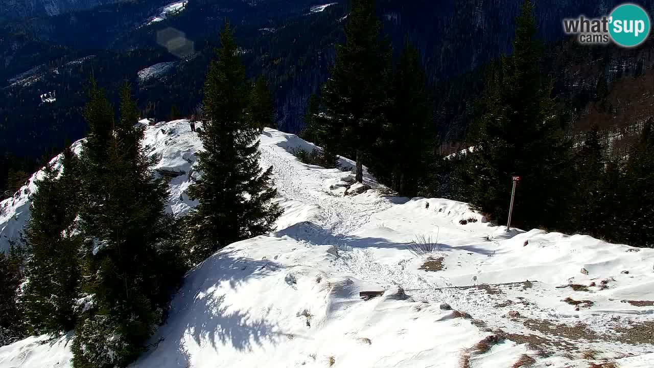 Webcam na Golici – Baita di montagna (1582 m) – Slovenia