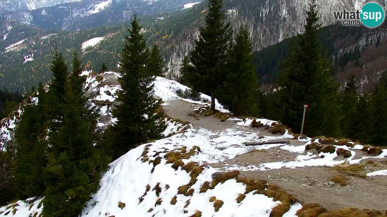 Spletna kamera Koča na Golici (1582 m) – Jesenice