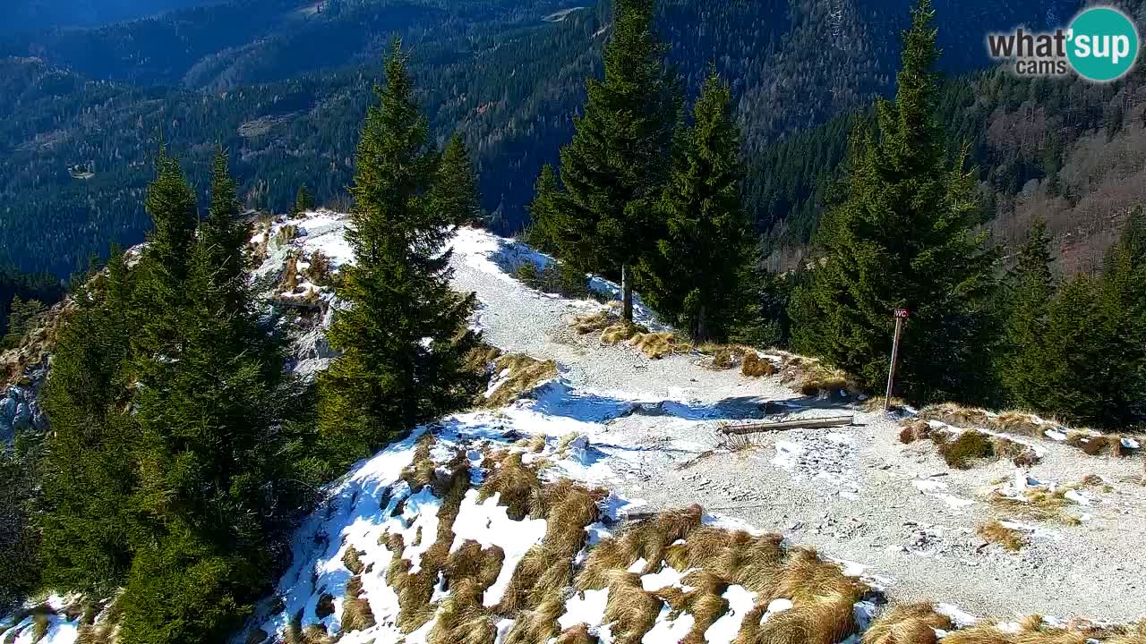 Spletna kamera Koča na Golici (1582 m) – Jesenice