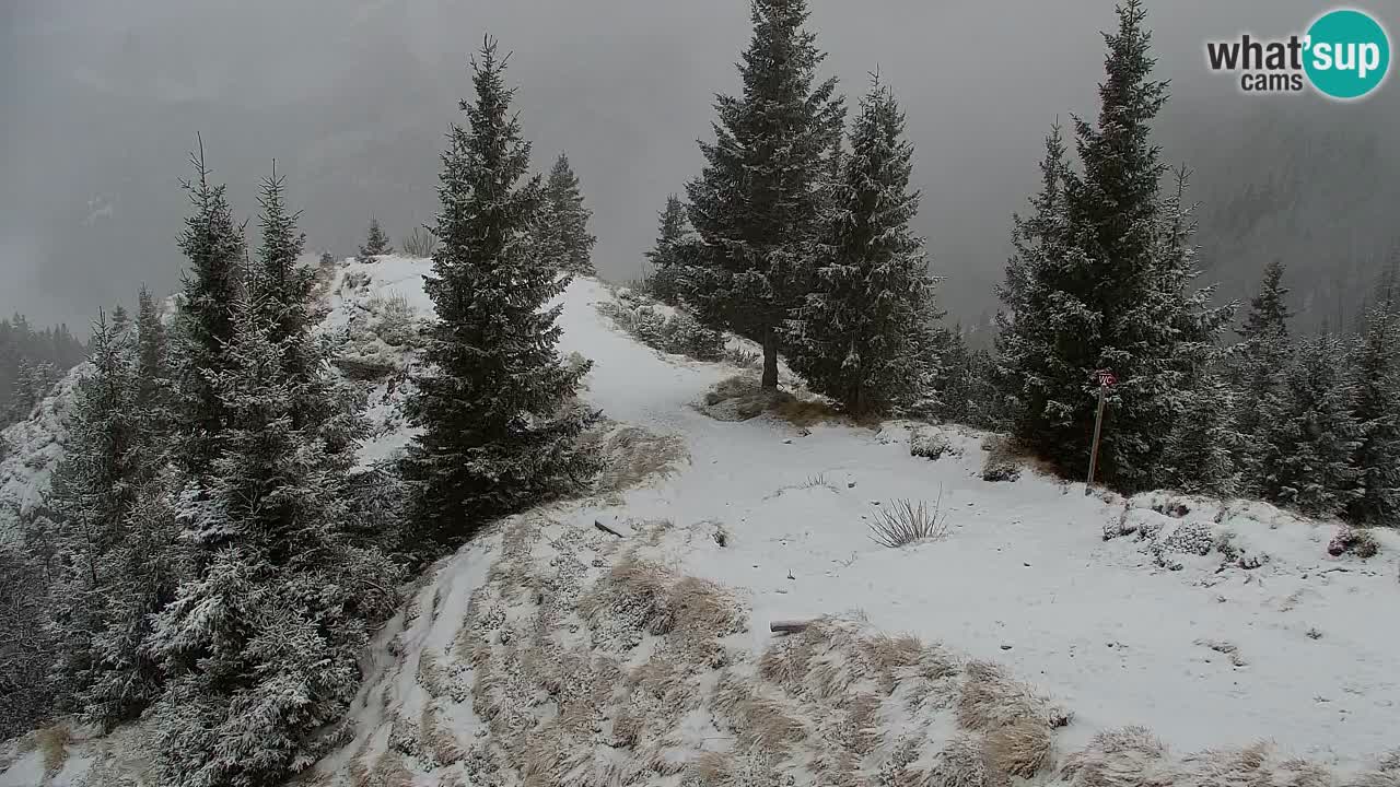 Koča na Golici Webcam (1582 m) – Slowenien