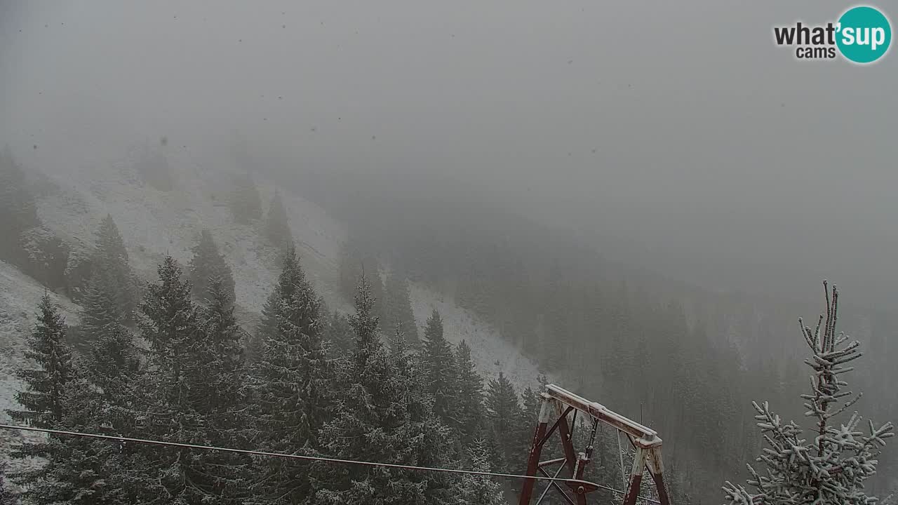 Koča na Golici Webcam (1582 m) – Slowenien