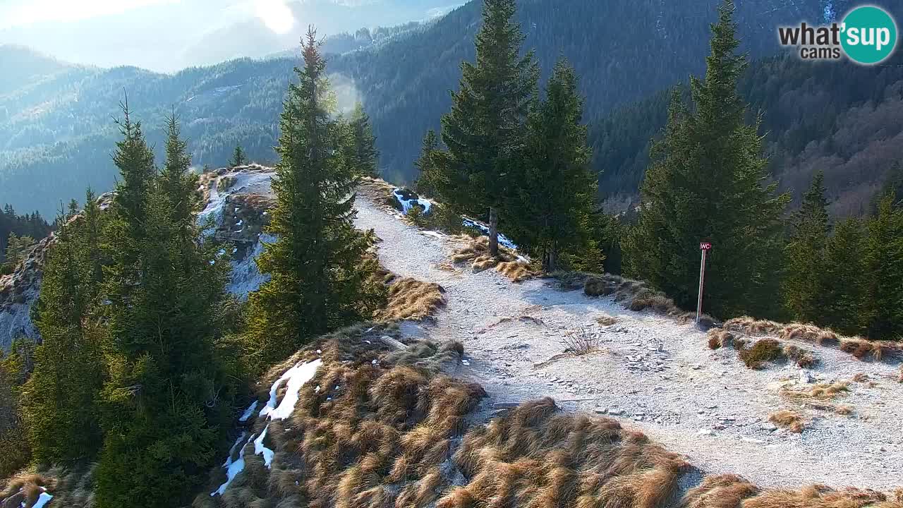 Web kamera Koča na Golici (1582 m) – Slovenija