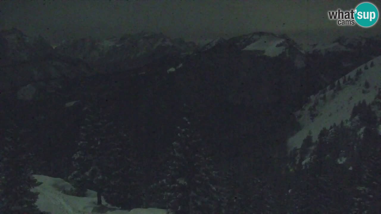 Koča na Golici Webcam (1582 m) – Slowenien