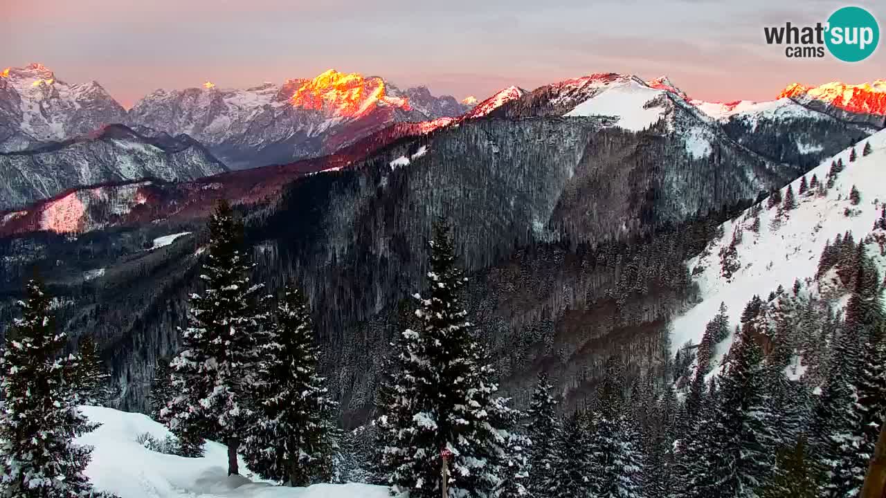 Web kamera Koča na Golici (1582 m) – Slovenija