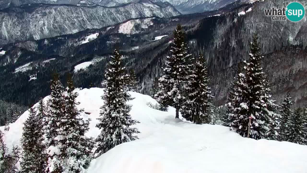 Webcam na Golici – Baita di montagna (1582 m) – Slovenia