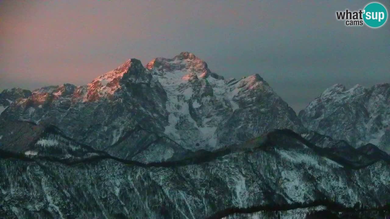 Webcam Koča na Golici (1582 m) – Slovenia