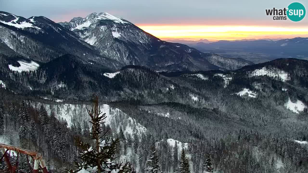 Webcam Koča na Golici (1582 m) – Slovenia