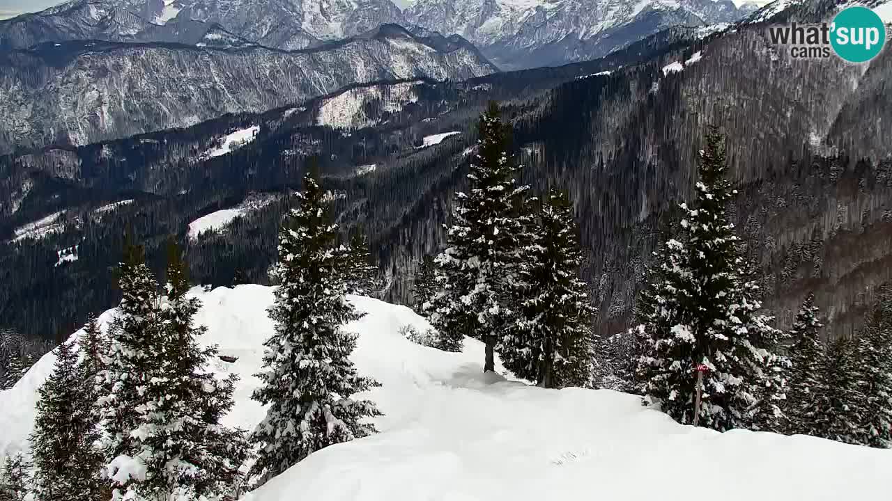 Webcam Chalet sur Golica (1582 m) – Slovénie