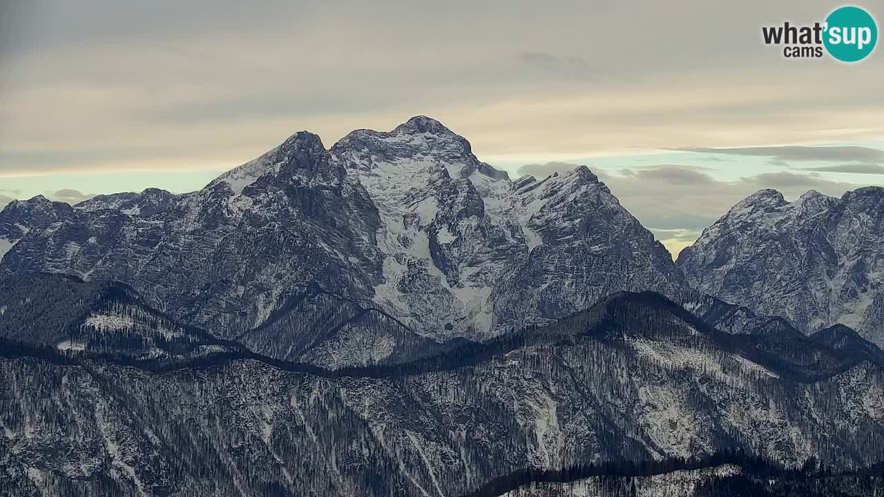 Web kamera Koča na Golici (1582 m) – Slovenija