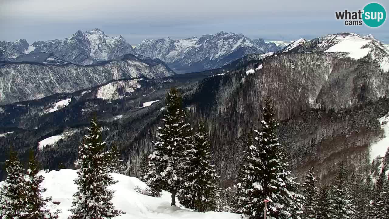 Koča na Golici Webcam (1582 m) – Slowenien