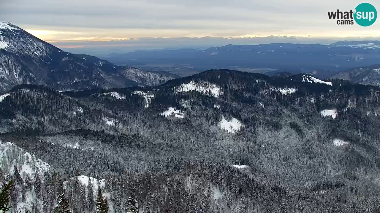 Koča na Golici Webcam (1582 m) – Slowenien