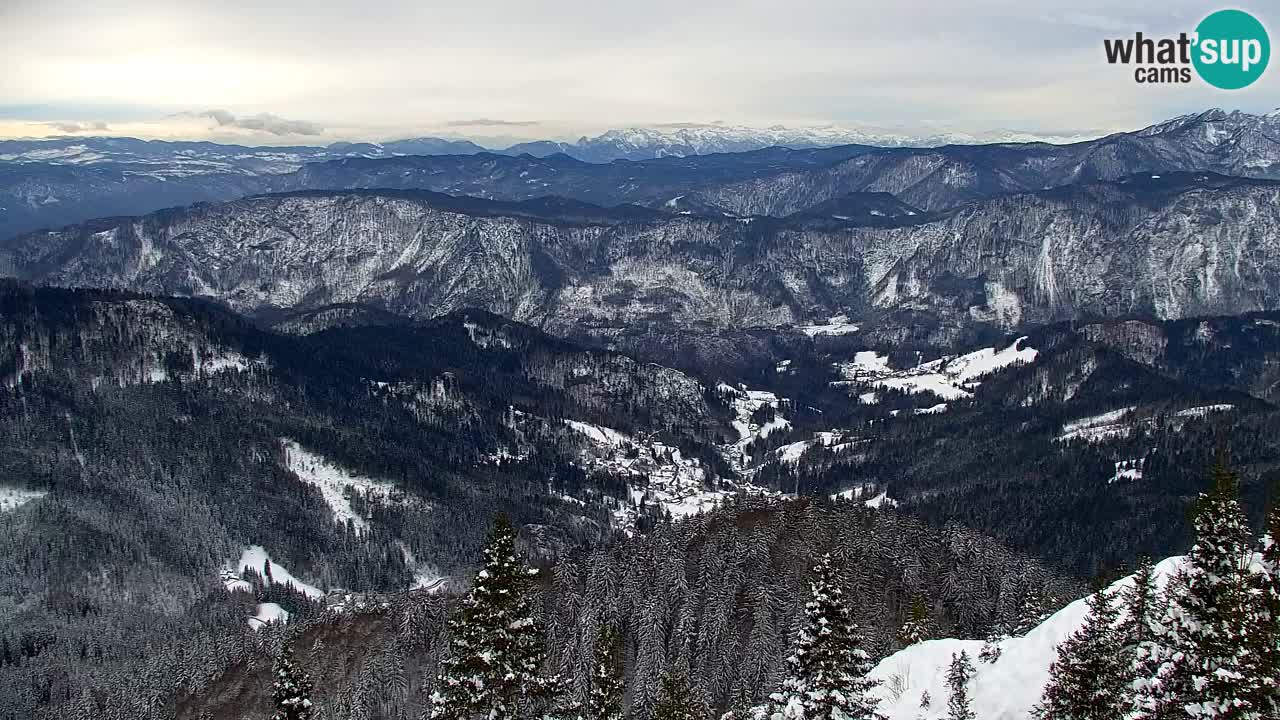 Webcam Koča na Golici (1582 m) – Slovenia