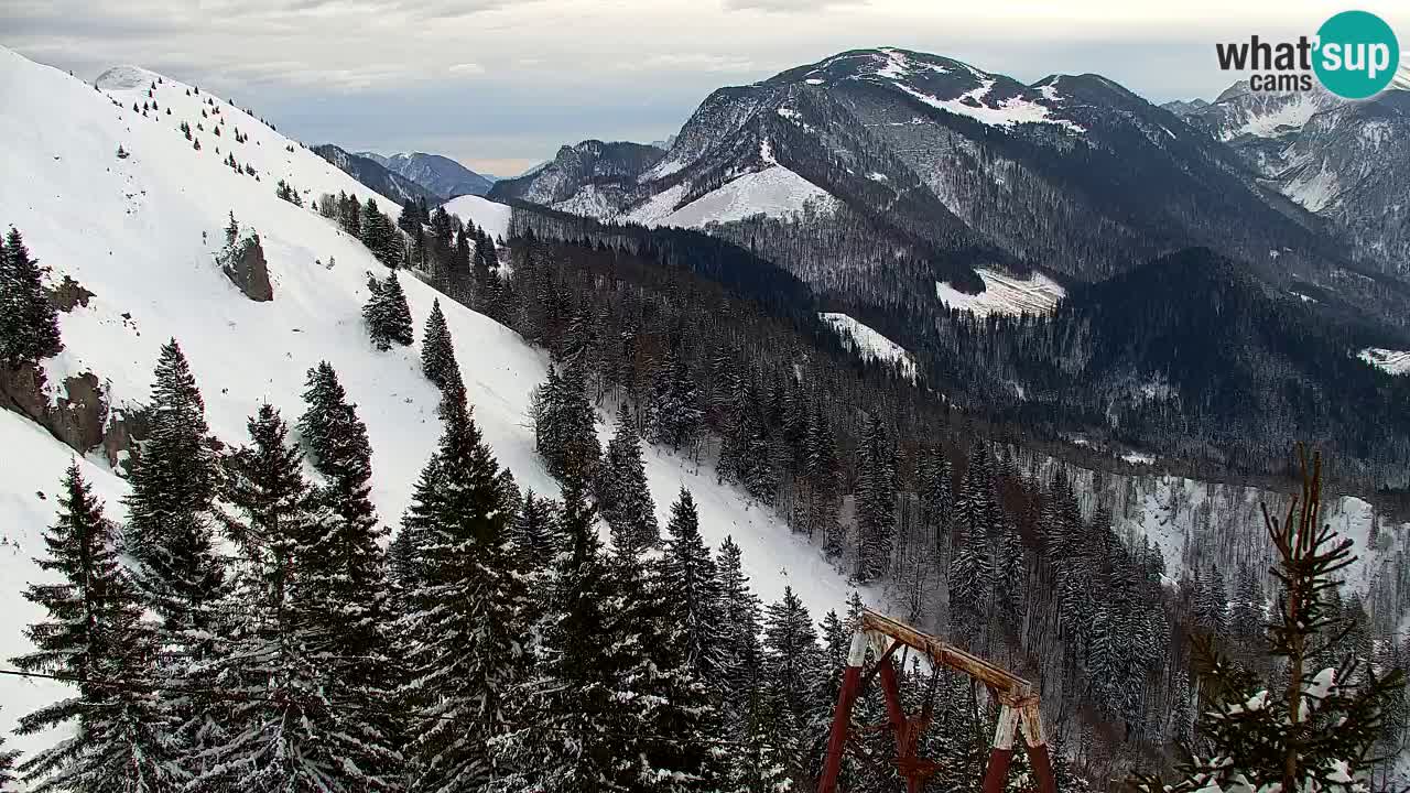 Spletna kamera Koča na Golici (1582 m) – Jesenice