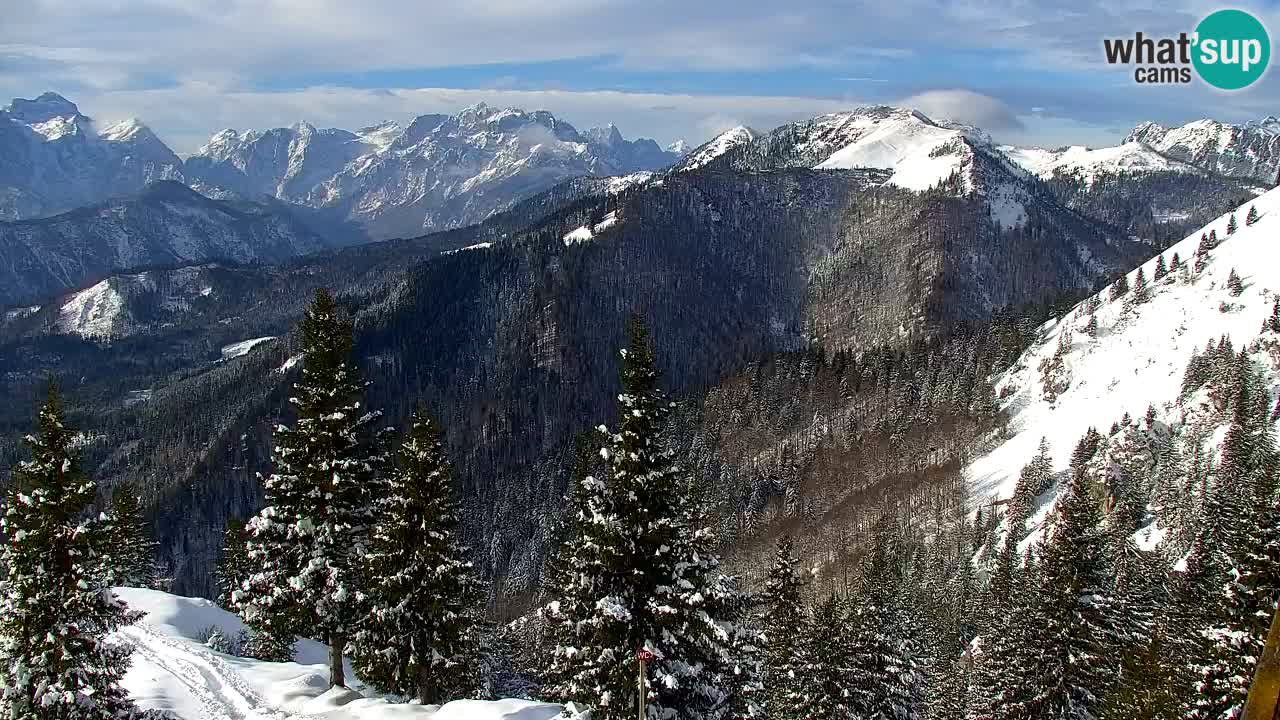 Spletna kamera Koča na Golici (1582 m) – Jesenice