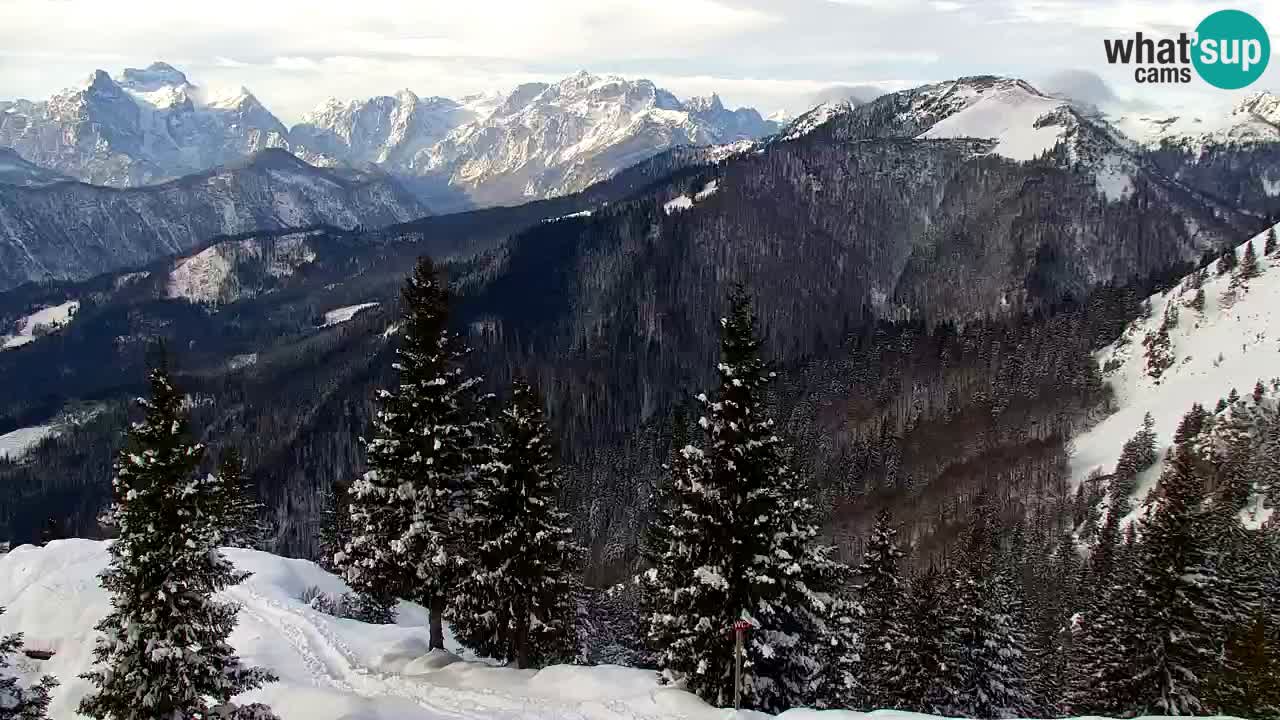 Webcam na Golici – Baita di montagna (1582 m) – Slovenia