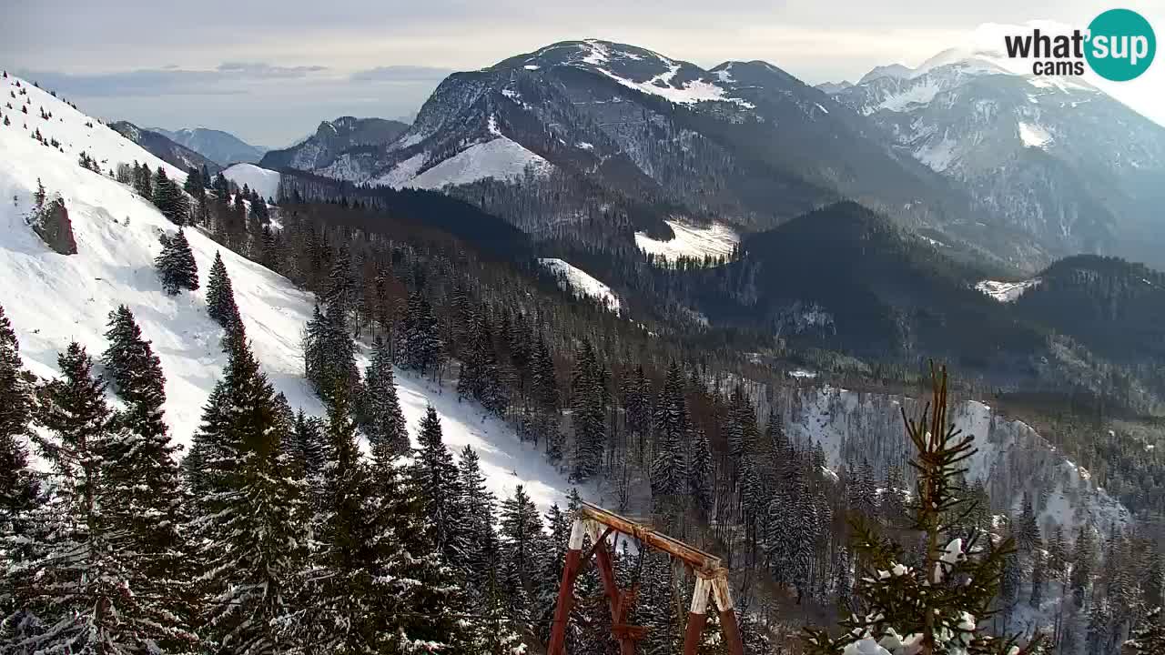 Webcam Koča na Golici (1582 m) – Slovenia