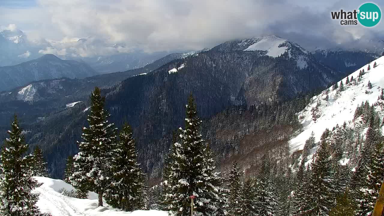 Webcam na Golici – Baita di montagna (1582 m) – Slovenia