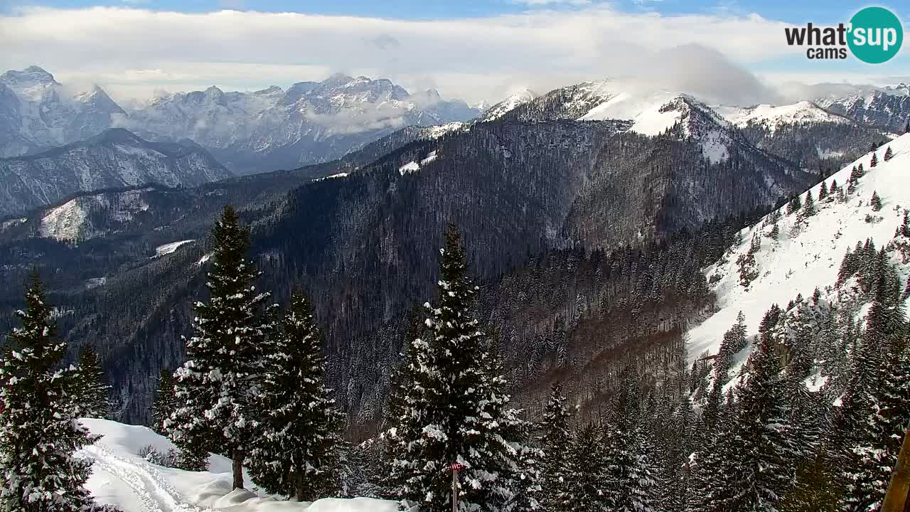 Webcam Chalet sur Golica (1582 m) – Slovénie