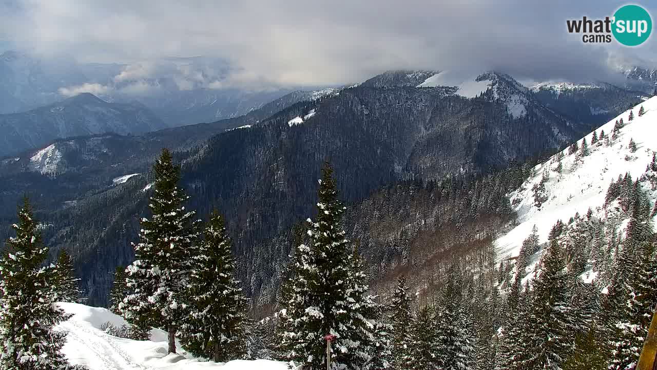 Web kamera Koča na Golici (1582 m) – Slovenija