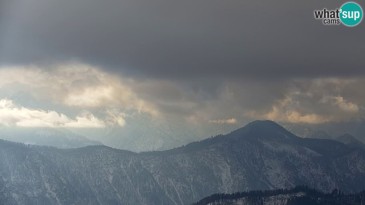 Koča na Golici Webcam (1582 m) – Slowenien