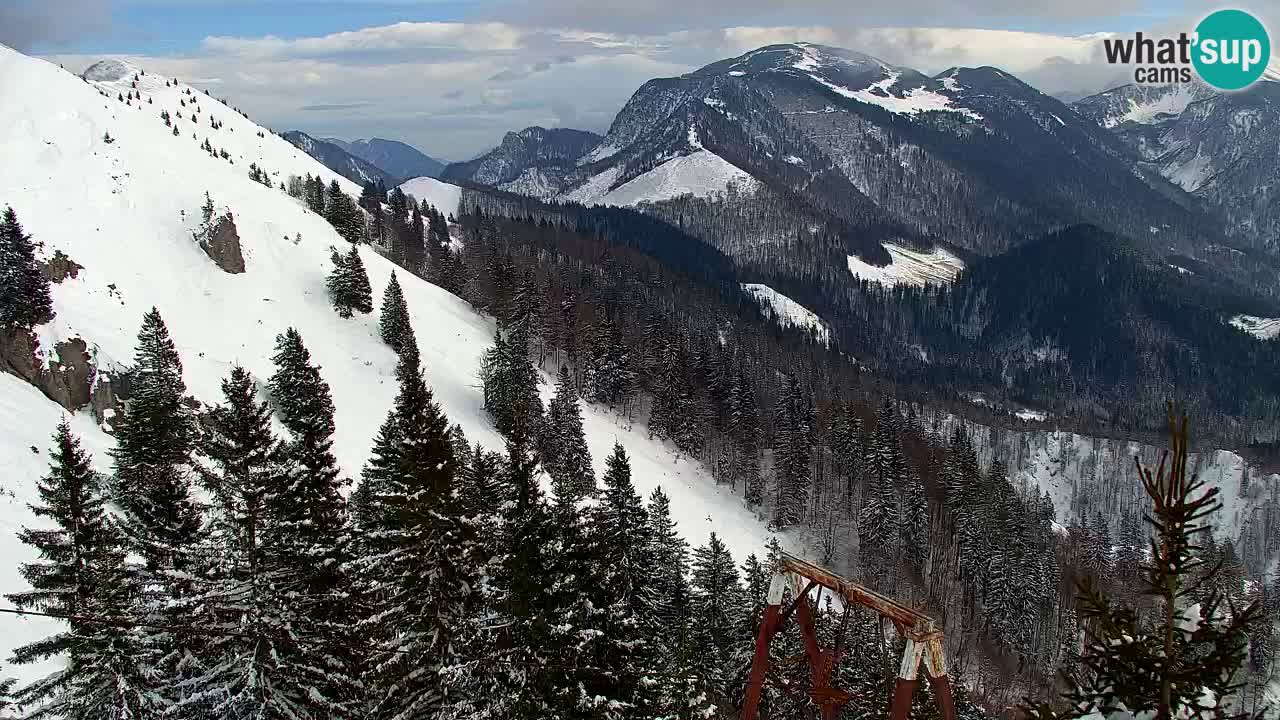 Web kamera Koča na Golici (1582 m) – Slovenija