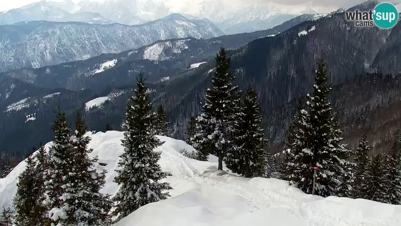 Spletna kamera Koča na Golici (1582 m) – Jesenice