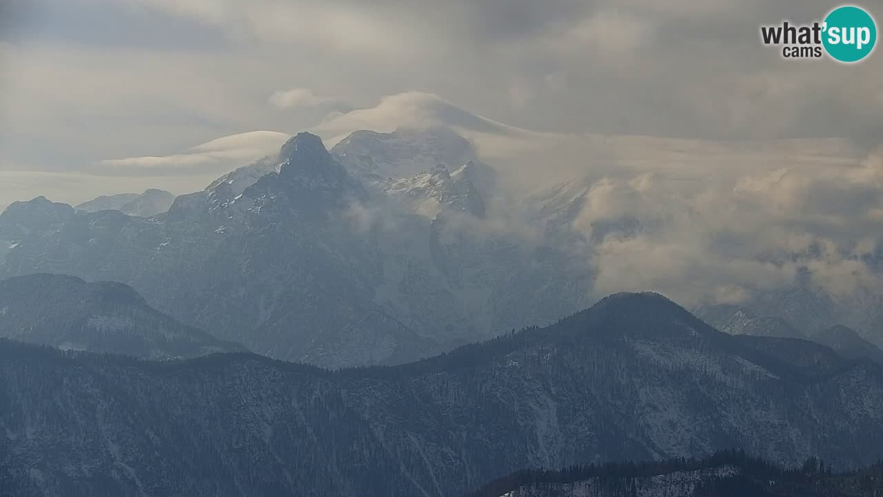 Webcam Koča na Golici (1582 m) – Slovenia