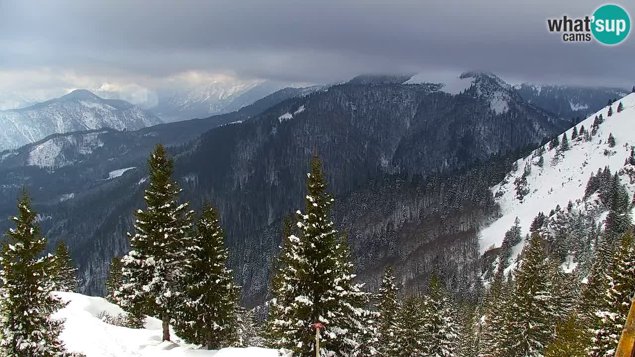 Web kamera Koča na Golici (1582 m) – Slovenija