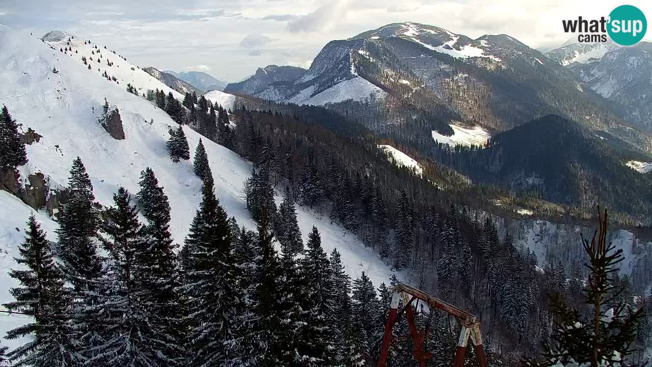 Spletna kamera Koča na Golici (1582 m) – Jesenice