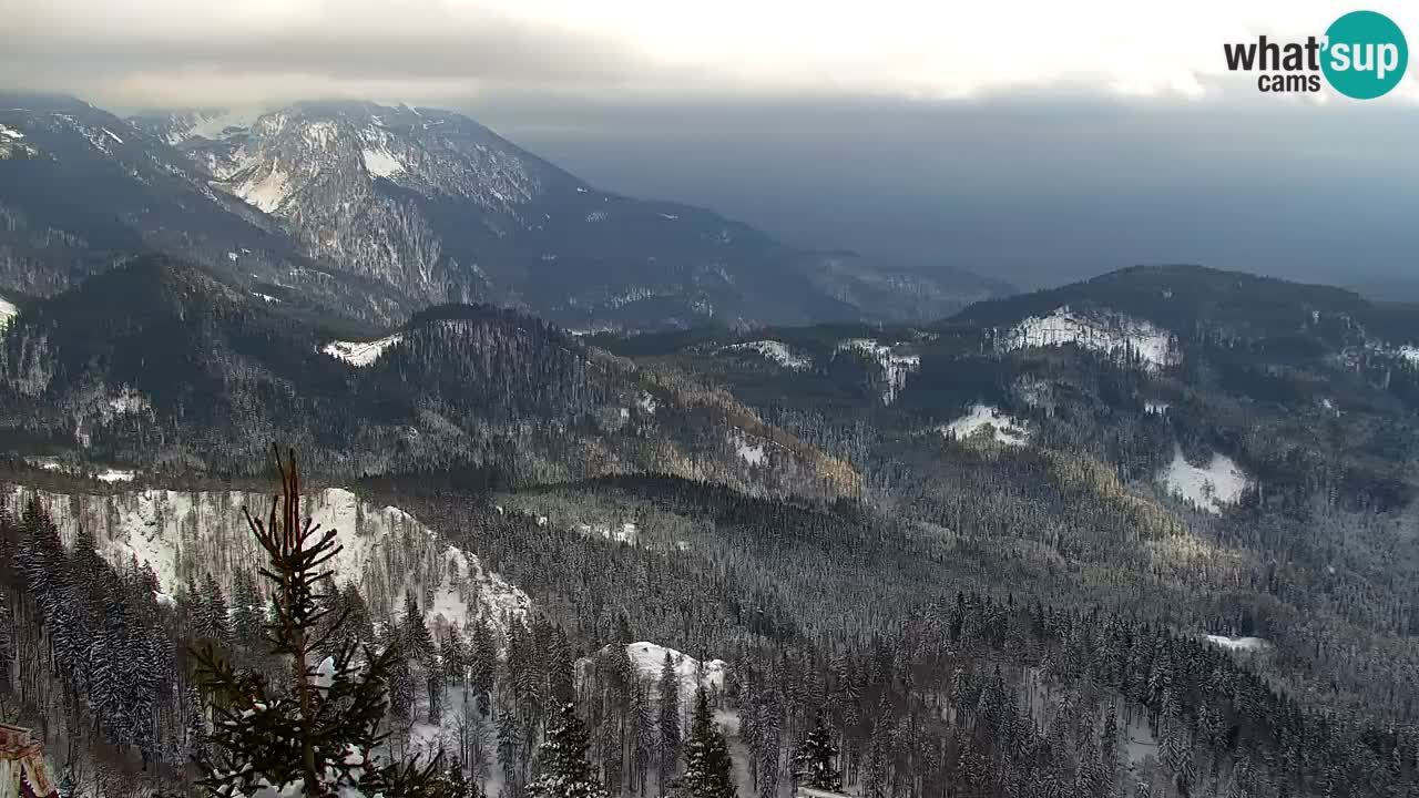 Web kamera Koča na Golici (1582 m) – Slovenija