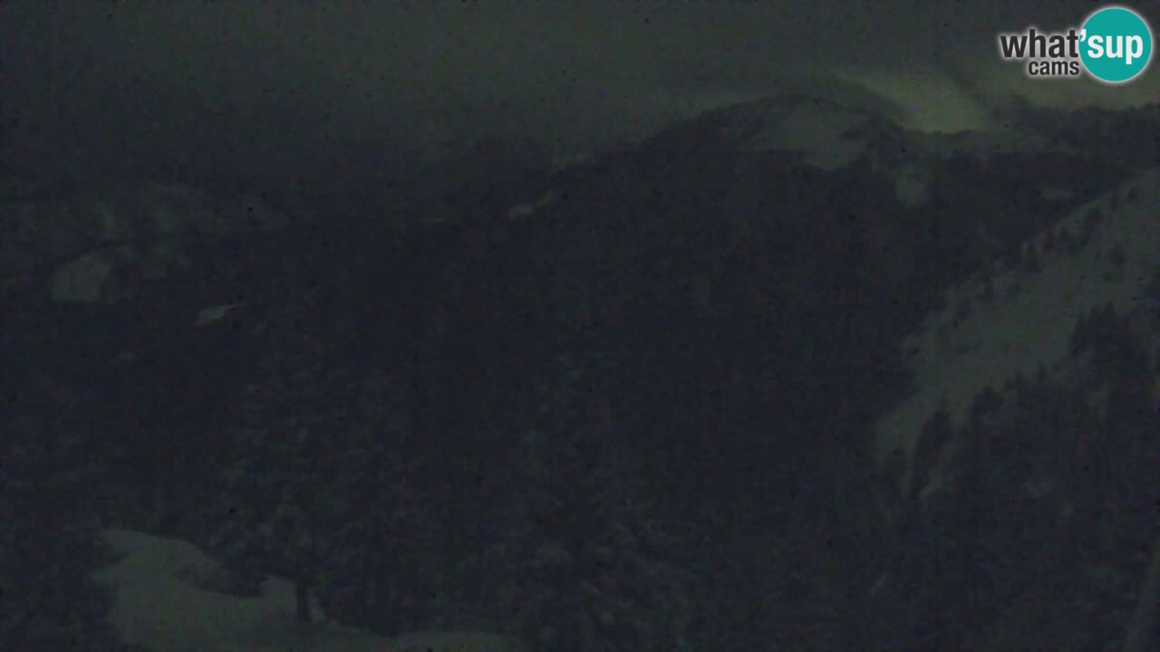 Webcam Koča na Golici (1582 m) – Slovenia