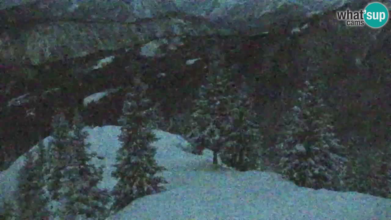 Webcam Chalet sur Golica (1582 m) – Slovénie