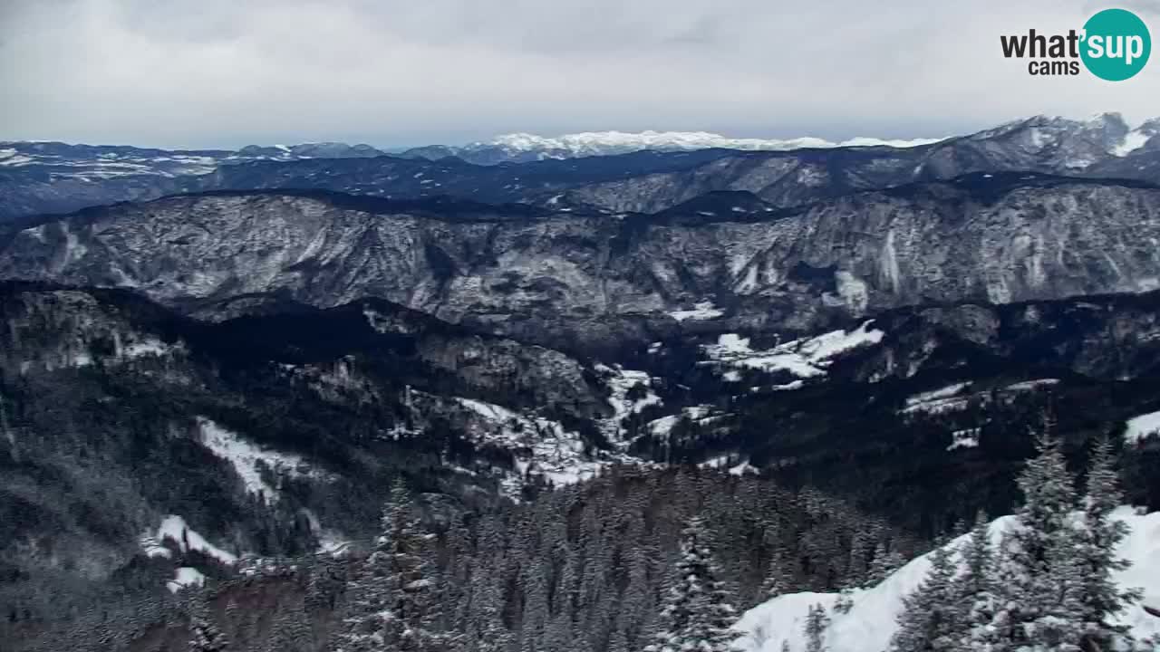 Webcam Chalet sur Golica (1582 m) – Slovénie