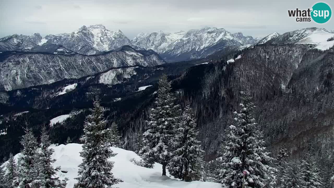 Web kamera Koča na Golici (1582 m) – Slovenija