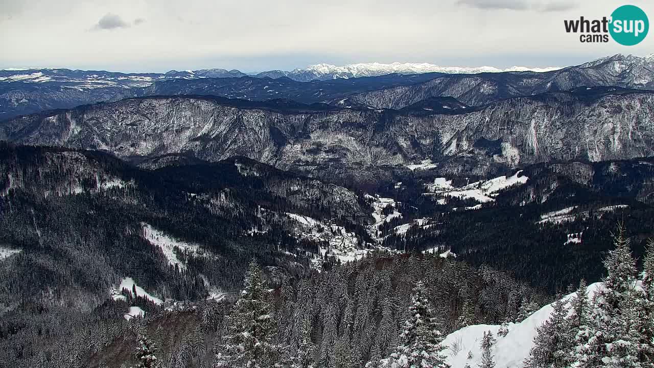 Webcam Chalet sur Golica (1582 m) – Slovénie