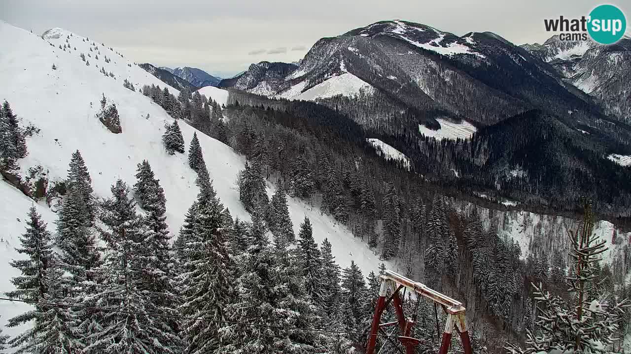 Webcam na Golici – Baita di montagna (1582 m) – Slovenia