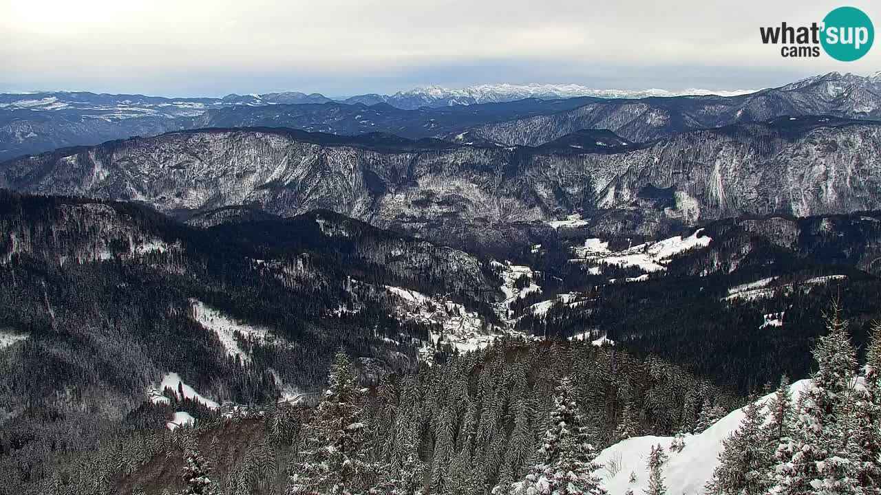 Webcam Koča na Golici (1582 m) – Slovenia