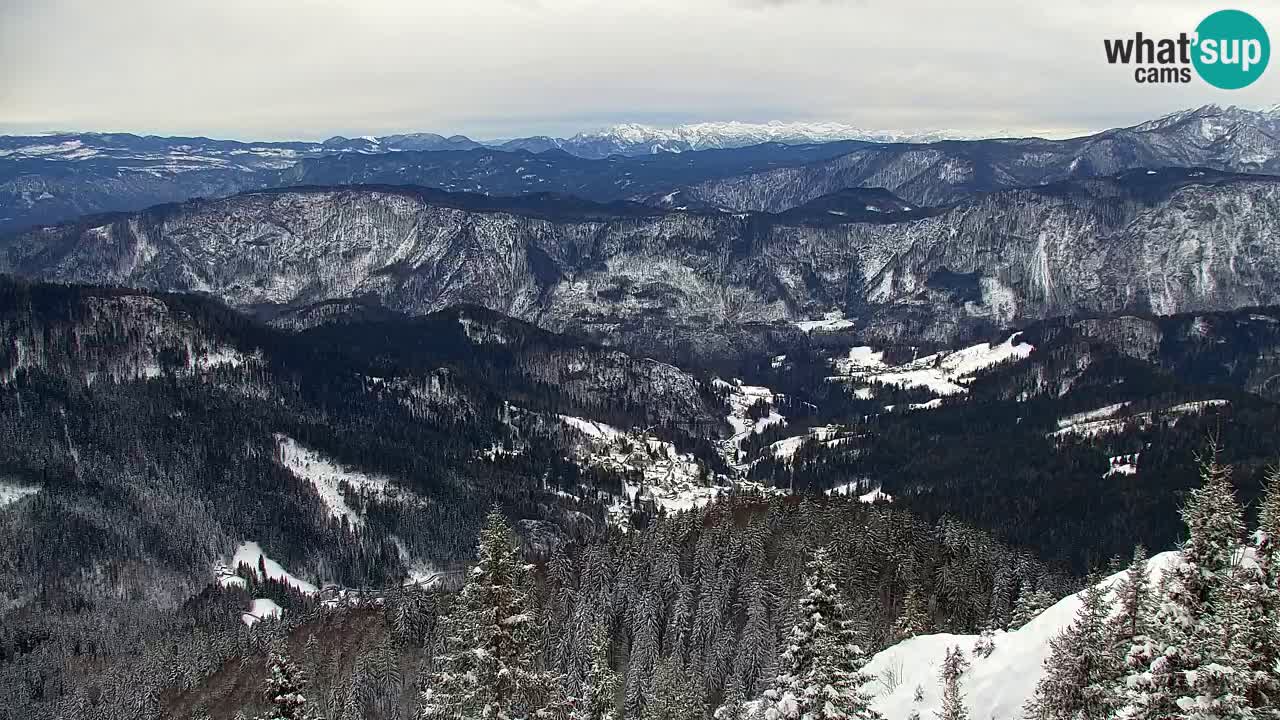 Webcam Koča na Golici (1582 m) – Slovenia