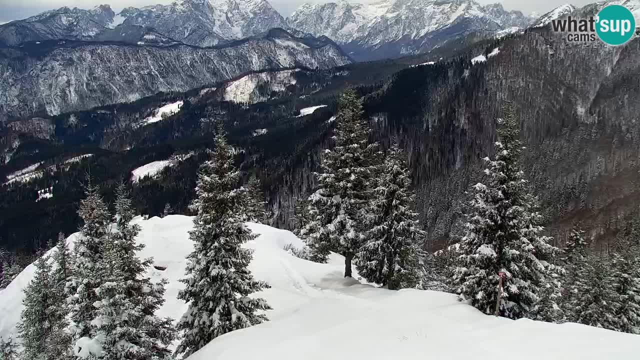 Koča na Golici Webcam (1582 m) – Slowenien