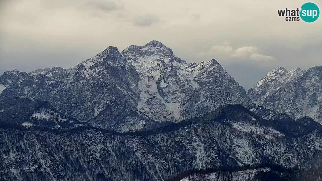 Spletna kamera Koča na Golici (1582 m) – Jesenice