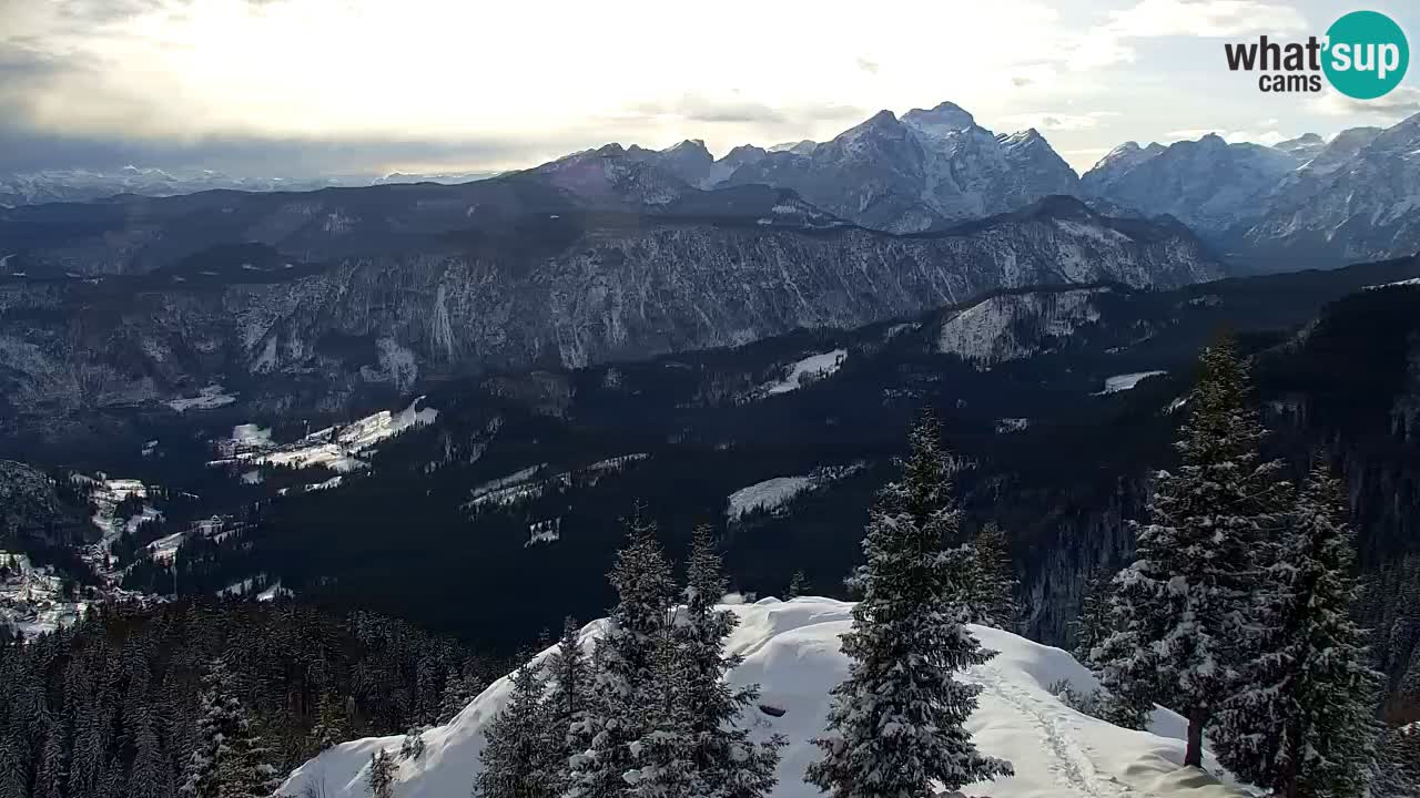 Webcam Koča na Golici (1582 m) – Slovenia