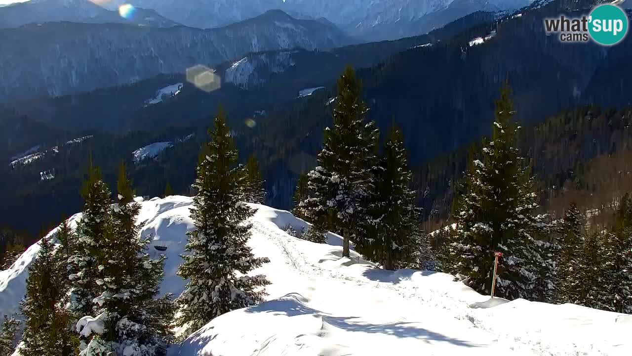 Spletna kamera Koča na Golici (1582 m) – Jesenice