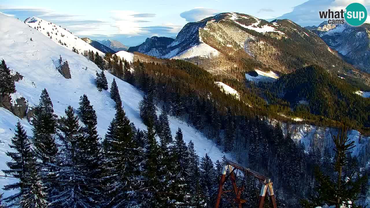 Webcam Koča na Golici (1582 m) – Slovenia