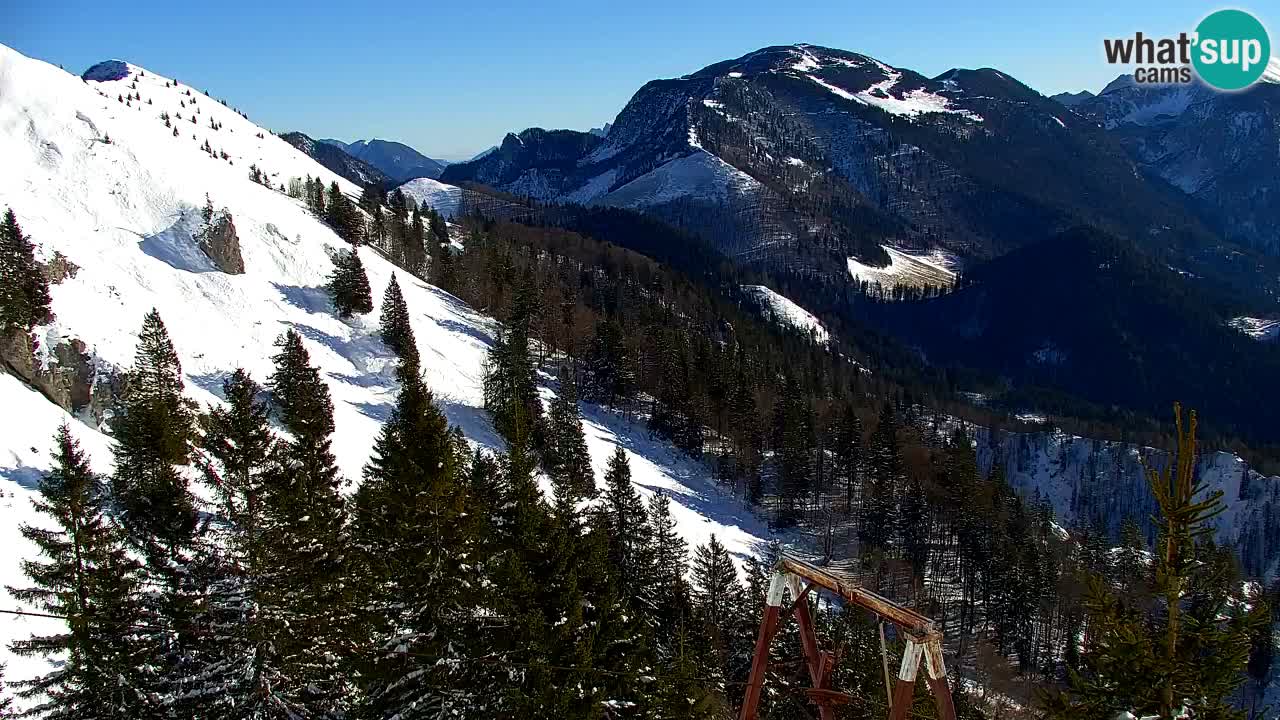 Koča na Golici Webcam (1582 m) – Slowenien