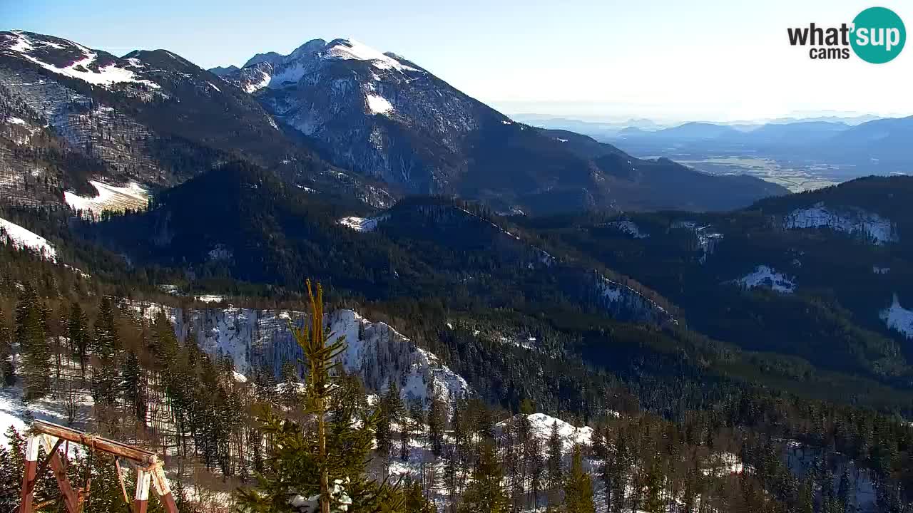 Koča na Golici Webcam (1582 m) – Slowenien