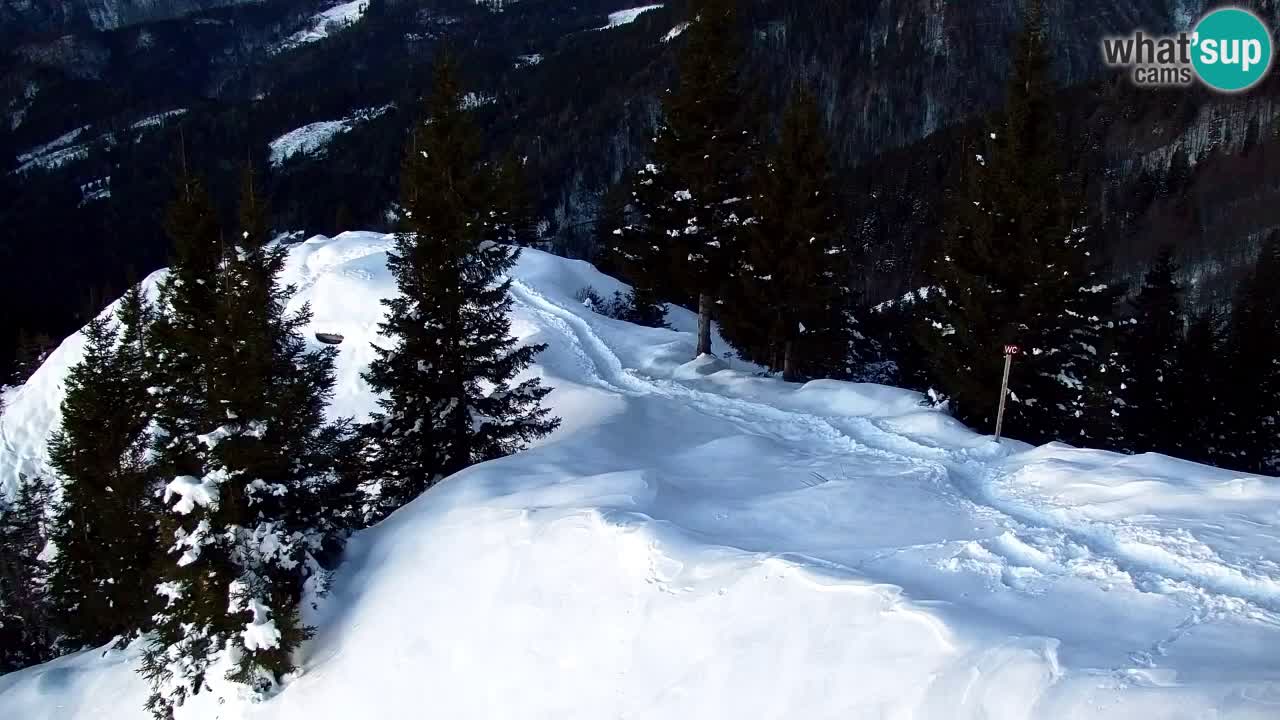 Webcam Chalet sur Golica (1582 m) – Slovénie