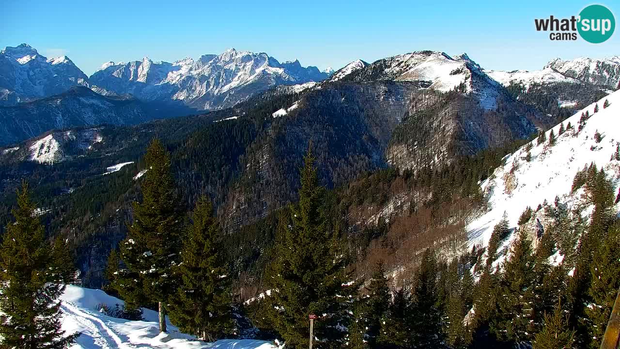 Webcam Koča na Golici (1582 m) – Slovenia