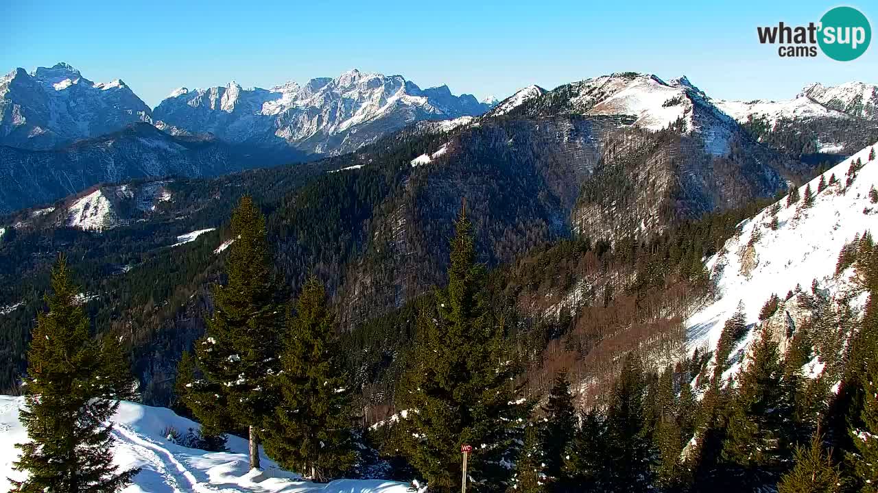 Webcam Chalet sur Golica (1582 m) – Slovénie