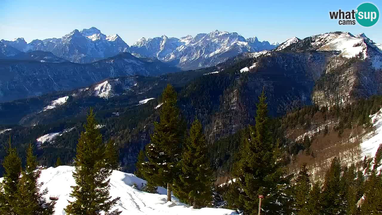 Webcam Koča na Golici (1582 m) – Slovenia