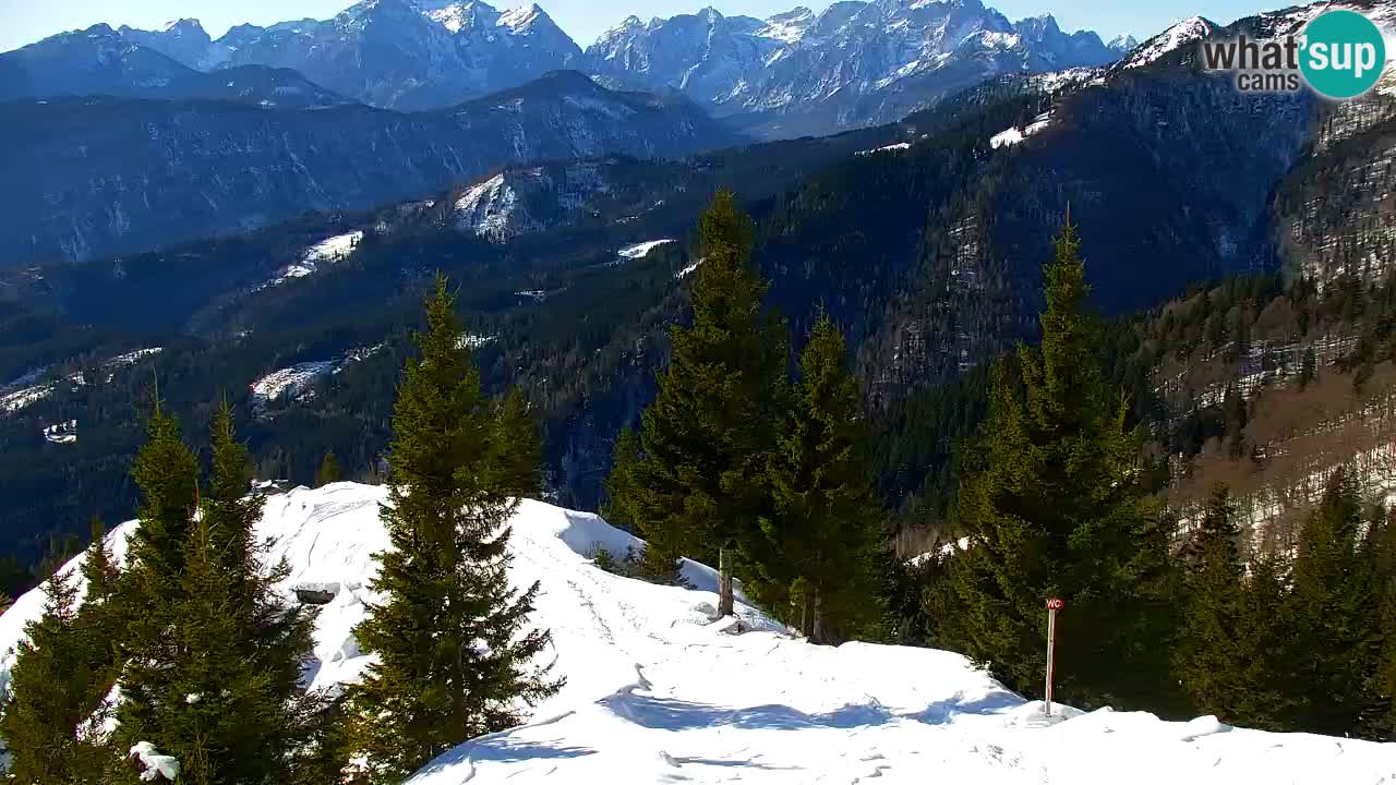 Koča na Golici Webcam (1582 m) – Slowenien